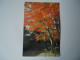 JAPAN POSTCARDS  SANZEN TEMPLE  MORE  PURHASES 10% DISCOUNT - Other & Unclassified