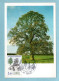 Carte Maximum 1985 : Nature De France  : Arbres - YT 2386 Chêne Pédonculé - 45 Orléans - 1980-1989