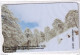 CYPRUS - Winter At Troodos(0119CY, Notched), Tirage %60000, 05/19, Mint - Cyprus