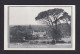 1 P. Bild-Ganzsache "Groot Schuur Near Capetown - Ungebraucht - Storia Postale