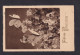 1939 - Sonderstempel "Halstenbek/Grösste Forstpflanzen-Anzucht Der Welt" - Karte - Árboles