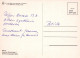 FIORI Vintage Cartolina CPSM #PAR645.A - Blumen