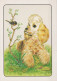 HUND Tier Vintage Ansichtskarte Postkarte CPSM #PAN946.A - Dogs