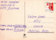 PÁJARO Animales Vintage Tarjeta Postal CPSM #PAN273.A - Uccelli
