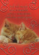 GATO GATITO Animales Vintage Tarjeta Postal CPSM #PAM552.A - Cats