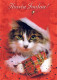 KATZE MIEZEKATZE Tier Vintage Ansichtskarte Postkarte CPSM #PAM515.A - Cats
