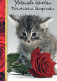 KATZE MIEZEKATZE Tier Vintage Ansichtskarte Postkarte CPSM #PAM470.A - Cats