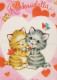 CAT KITTY Animals Vintage Postcard CPSM #PAM286.A - Cats