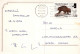 GATO GATITO Animales Vintage Tarjeta Postal CPSM #PAM357.A - Cats