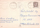GATO GATITO Animales Vintage Tarjeta Postal CPSM #PAM117.A - Chats