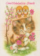CAT KITTY Animals Vintage Postcard CPSM #PAM151.A - Cats