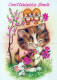 CAT KITTY Animals Vintage Postcard CPSM #PAM151.A - Chats
