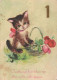 GATTO KITTY Animale Vintage Cartolina CPSM #PBQ865.A - Cats