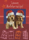 CANE Animale Vintage Cartolina CPSM #PBQ640.A - Dogs