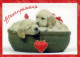 CANE Animale Vintage Cartolina CPSM #PBQ440.A - Dogs