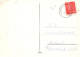 EASTER RABBIT Vintage Postcard CPSM #PBO366.A - Easter