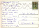 EASTER RABBIT Vintage Postcard CPSM #PBO351.A - Pâques