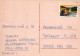 NIÑOS Escenas Paisajes Vintage Tarjeta Postal CPSM #PBT137.A - Escenas & Paisajes