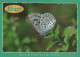 BUTTERFLIES Animals Vintage Postcard CPSM #PBS435.A - Butterflies