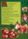 OSO Animales Vintage Tarjeta Postal CPSM #PBS351.A - Bären