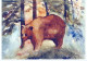 BEAR Animals Vintage Postcard CPSM #PBS355.A - Beren