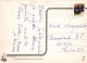 BEAR Animals Vintage Postcard CPSM #PBS170.A - Beren
