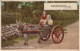 ÂNE Animaux Vintage Antique CPA Carte Postale #PAA236.A - Esel