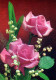 FLOWERS Vintage Postcard CPSM #PAS157.GB - Bloemen