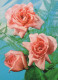FLOWERS Vintage Postcard CPSM #PAR916.GB - Flores