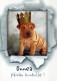 DOG Animals Vintage Postcard CPSM #PAN753.GB - Cani