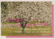 FLOWERS Vintage Postcard CPSM #PAR616.GB - Fleurs