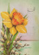 FLOWERS Vintage Postcard CPSM #PAR074.GB - Flores