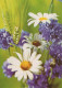 FLOWERS Vintage Postcard CPSM #PAR195.GB - Fleurs