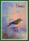 BIRD Animals Vintage Postcard CPSM #PAN239.GB - Oiseaux