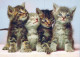 CAT KITTY Animals Vintage Postcard CPSM #PAM428.GB - Chats