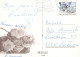 FLORES Vintage Tarjeta Postal CPSM #PAR917.ES - Bloemen