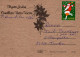 FLORES Vintage Tarjeta Postal CPSM #PAR797.ES - Fleurs