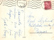 FLORES Vintage Tarjeta Postal CPSM #PAR136.ES - Fleurs
