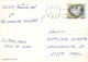 FLORES Vintage Tarjeta Postal CPSM #PAR015.ES - Flores