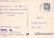 PERRO Animales Vintage Tarjeta Postal CPSM #PAN619.ES - Dogs