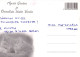 GATO GATITO Animales Vintage Tarjeta Postal CPSM #PAM552.ES - Cats