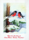 PÁJARO Animales Vintage Tarjeta Postal CPSM #PAM931.ES - Oiseaux