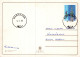 GATO GATITO Animales Vintage Tarjeta Postal CPSM #PAM116.ES - Chats