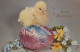 EASTER CHICKEN EGG Vintage Postcard CPA #PKE430.GB - Easter