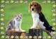DOG Animals Vintage Postcard CPSM #PBQ715.GB - Chiens