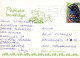 EASTER CHICKEN EGG Vintage Postcard CPSM #PBO794.GB - Easter