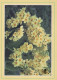 FLEURS Vintage Carte Postale CPSM #PAS459.FR - Flores