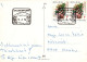 FLEURS Vintage Carte Postale CPSM #PAR918.FR - Flores