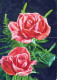 FLEURS Vintage Carte Postale CPSM #PAS159.FR - Blumen