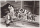 CHIEN Animaux Vintage Carte Postale CPSM #PAN883.FR - Dogs